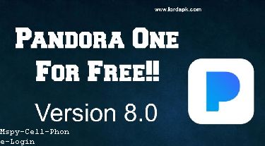 whatsapp Casusu Mspy